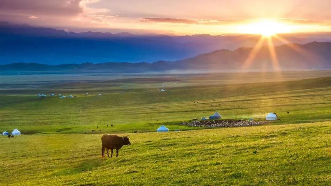 立场决定观点，站在此立场，就会攻击彼立场