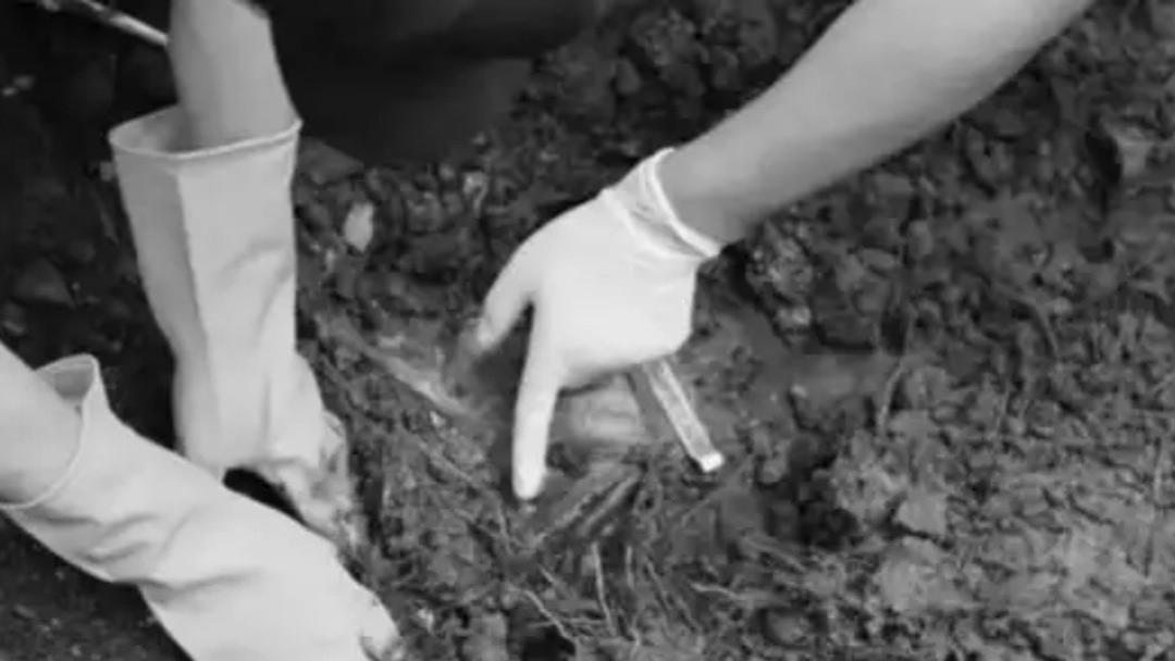 悲剧版“疯狂的玉碗”！2006年蓟县“7·17”杀人埋尸案侦破始末