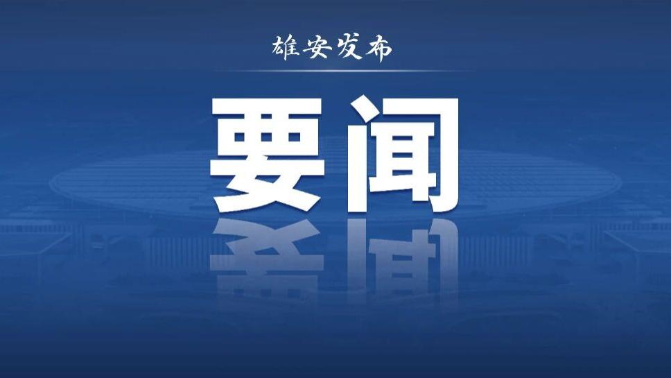 王毅会见来华出席2026全球治理论坛（雄安）的客人