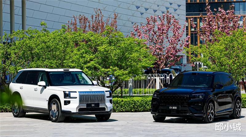 9X又超问界M9，极氪为何能靠小众市场翻身？