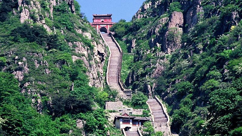 团队导览：轻装上阵，塑造从容参观之旅