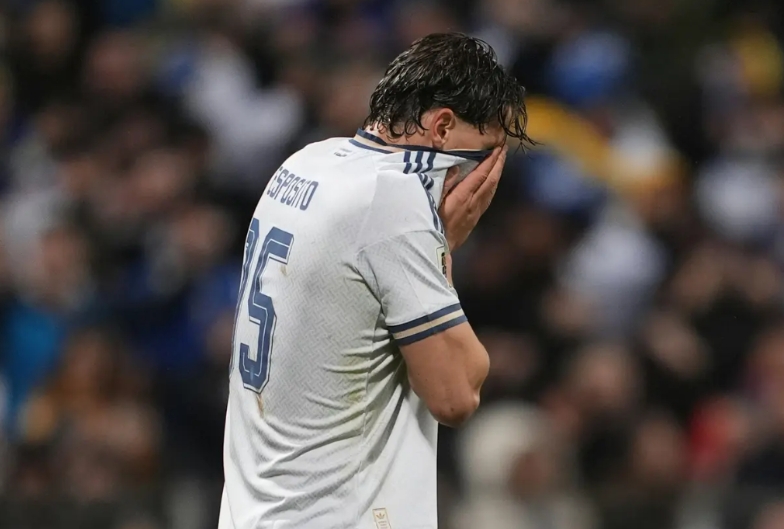 【瑞典命真好】世预赛欧洲区附加赛全部落幕，意大利被波黑点球淘汰，连续三届无缘世界