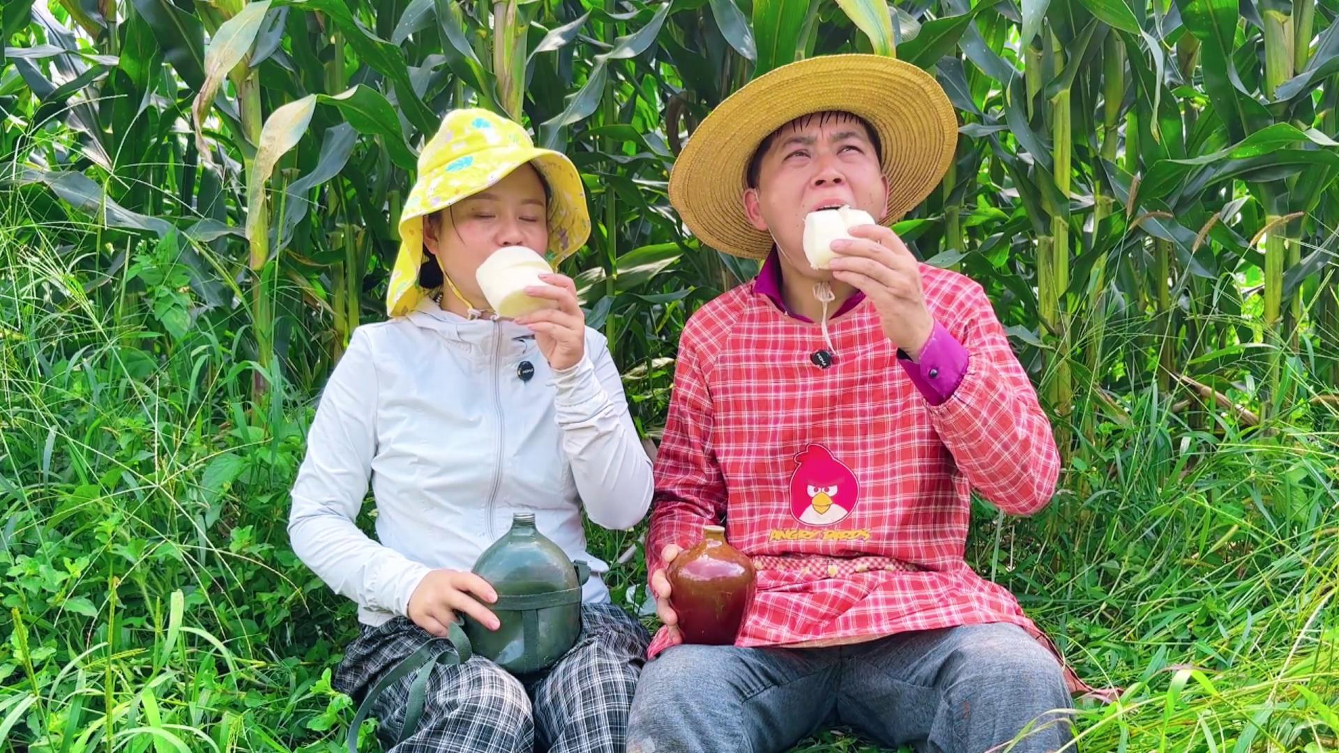 夫妻下地收玉米，中午不回家吃饭，看看在玉米地里吃的啥？