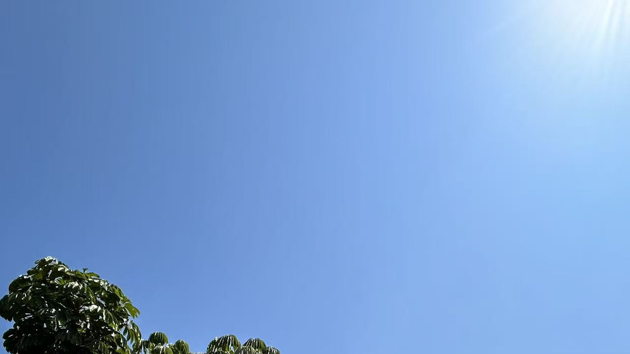 坚持下来的人，本身应该就不是一般人