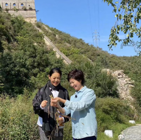 倪萍因为不能参加敬一丹的告别式，连夜写下了千字长文，没有华丽的辞藻，没有刻意的煽