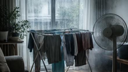 2026 梅雨季10-20㎡卧室空气净化器评测：十大抗霉除味空气净化器对比