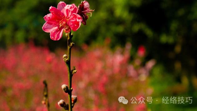 女人气血好不好，关键看此处！2个小动作养出好气血