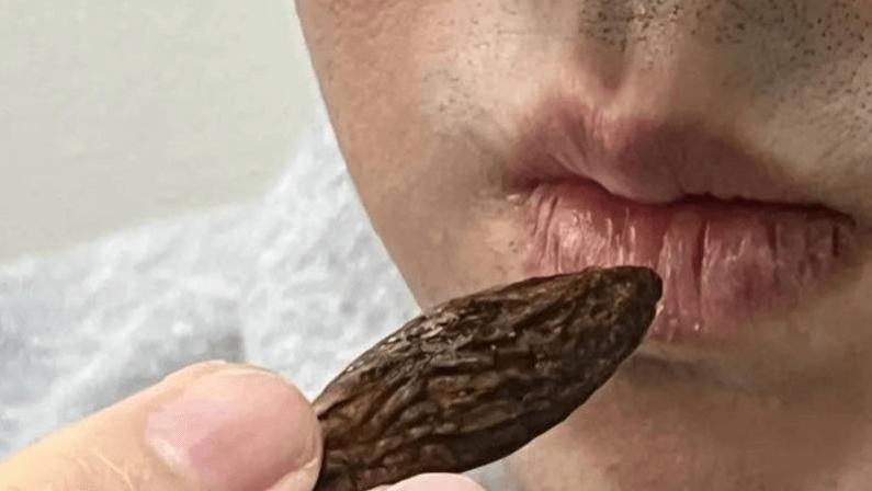 槟榔潜入日本！在日中国留学生间隐秘流通，被当 “天然毒品” 使用