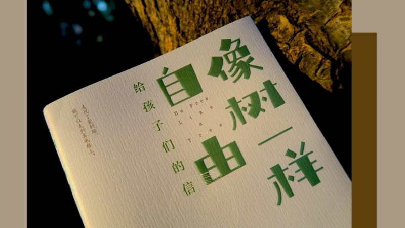 《像树一样自由》：树，因有根而自由；成长，因有方向而不彷徨
