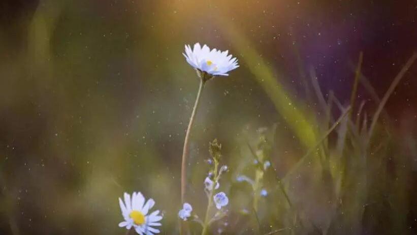 抑郁康复后，我是如何预防复发的—7年实战经验分享！