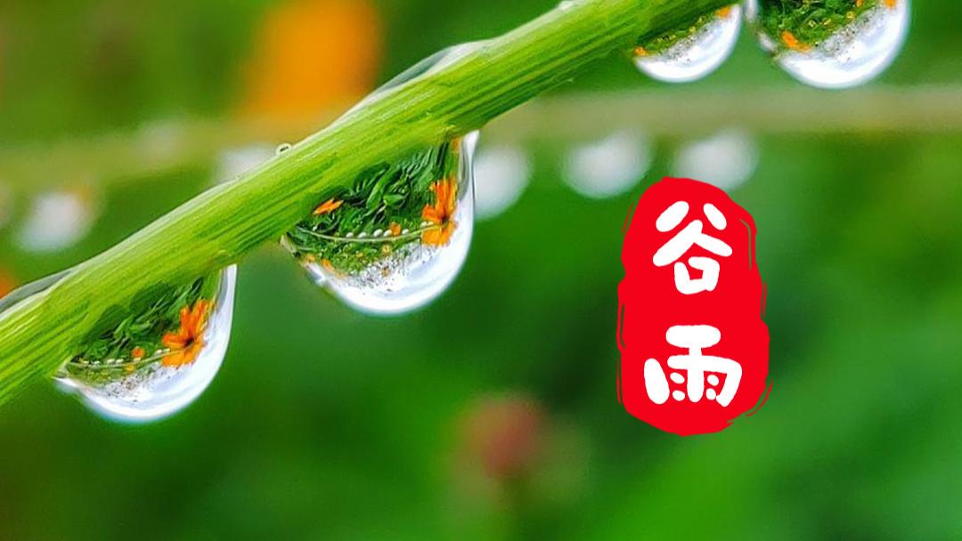 今日谷雨，3不吃，3不贪，3不做，助你平安入夏，早知道早受益