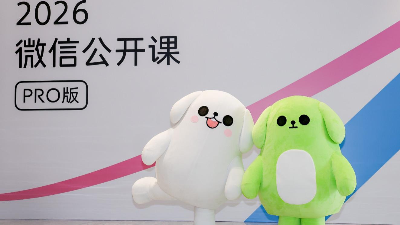 2025微信生态短剧主体增长超31%，真人短剧数量近30万