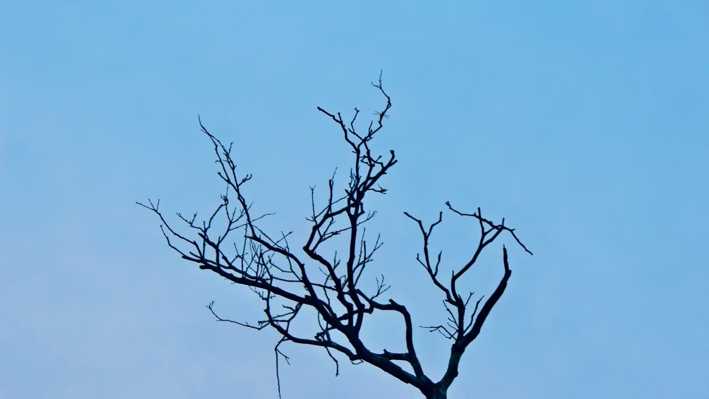 为什么明朝百姓可以接受朱祁镇复辟当皇帝？