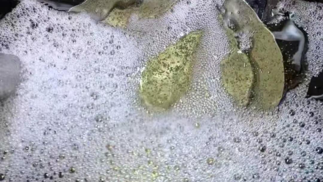 雨天躲进酒库，我打了一壶会开花的酒