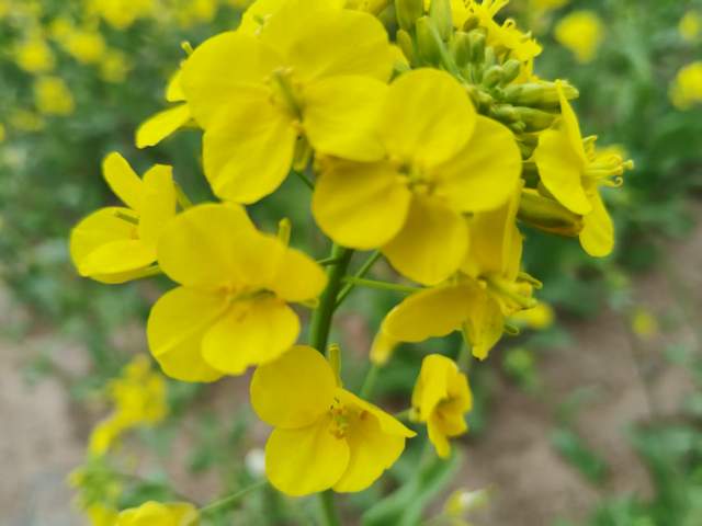 好好活着，让孩子有个亲妈，比什么都重要! 稳住节奏，别慌慢慢来