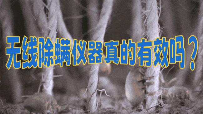无线除螨仪器真的有效吗？小米除螨仪最建议买哪一款？2026年最热门除螨仪性能排行榜，附选购指南