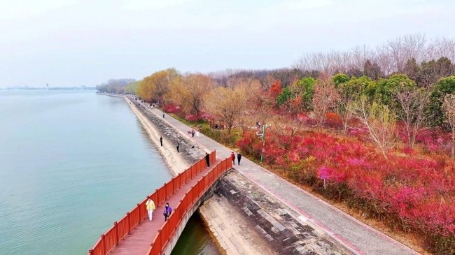 淮安市洪泽区2026年春季游线攻略