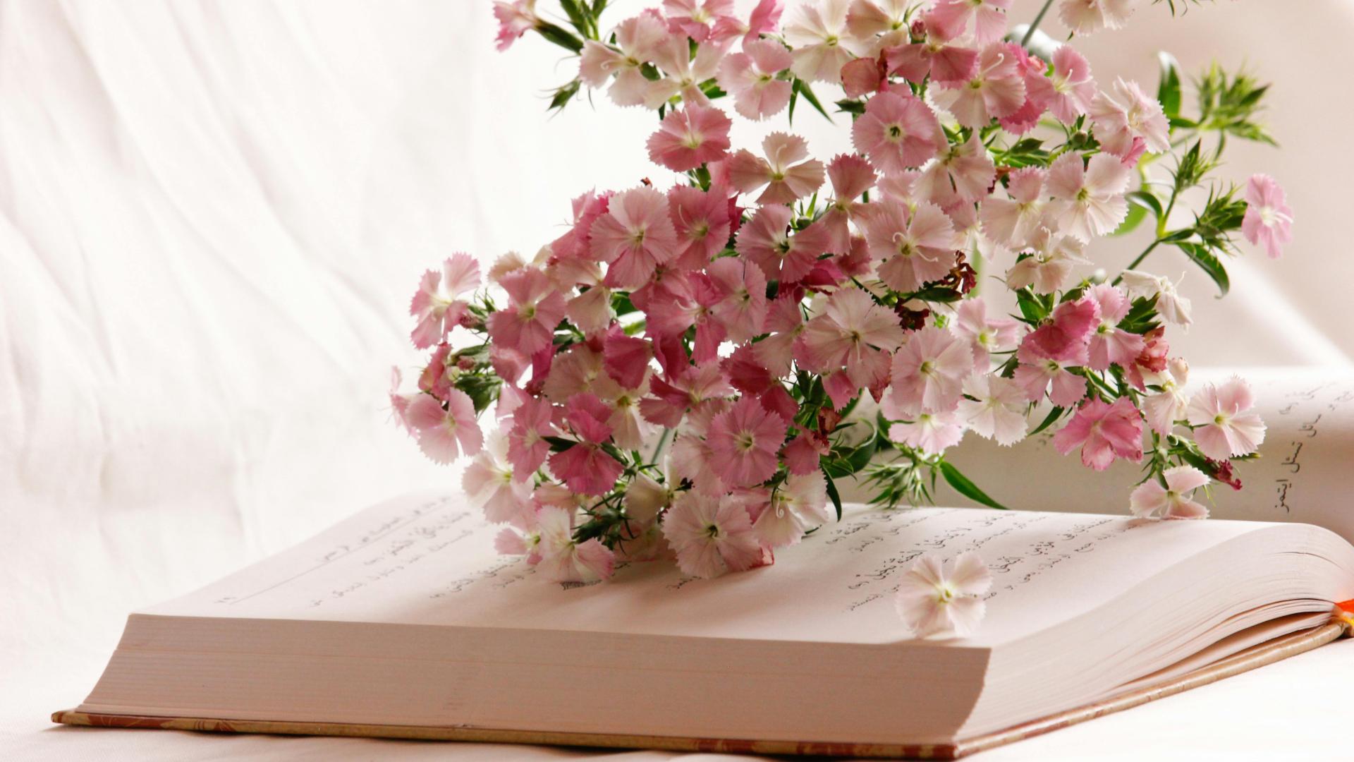 民事诉讼中，第三人是否享有上诉权？