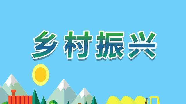 乡村振兴与闲置资产处理：拍界拍卖实践攻略