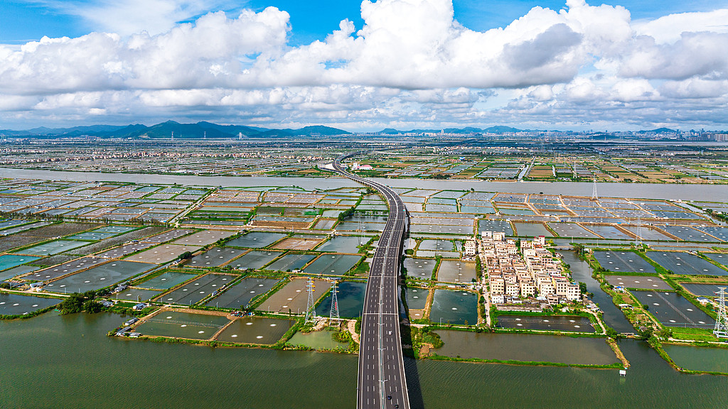 珠海这条高速公路即将扩建！采用“四改六”、“四改八”方案