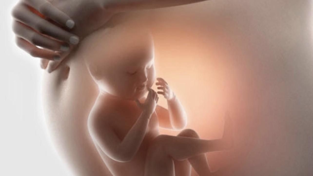 孕早期为什么要特别小心？12周全解析，新手妈妈必看