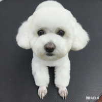 奇葩事件奇葩说