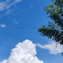 怎么潇洒怎么过