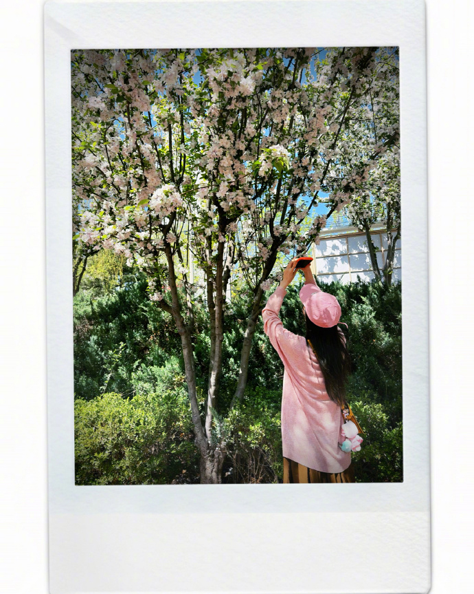 唐嫣难得出来营业，42周岁依然粉嫩如少女。唐嫣晒出她出门拍花的照片，一身粉色的装