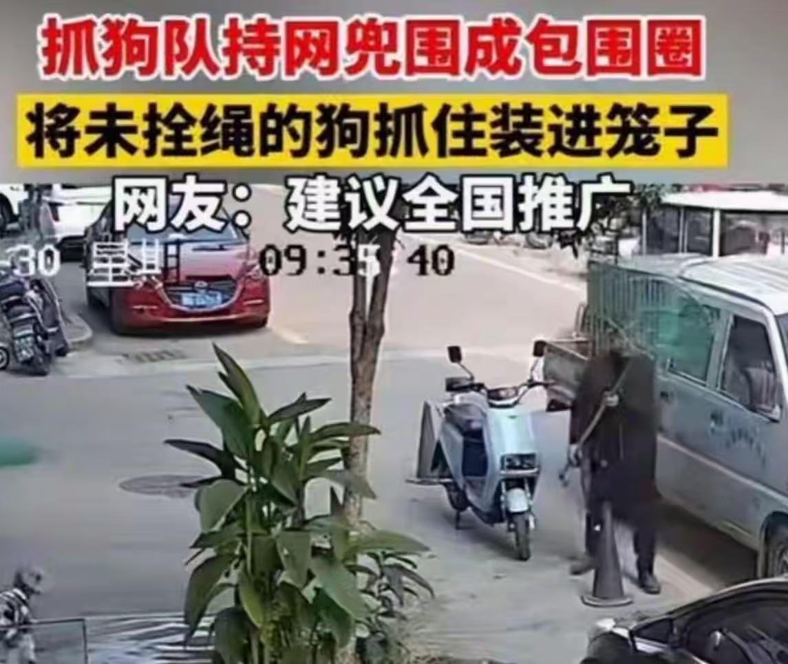 义乌抓狗队我看了真的想拍手叫好！

这帮人每天在街上巡逻，看到没拴绳子的狗，直接