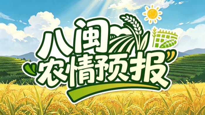 葡萄着色、荔枝防虫、早稻防瘟，一样都不能耽误！