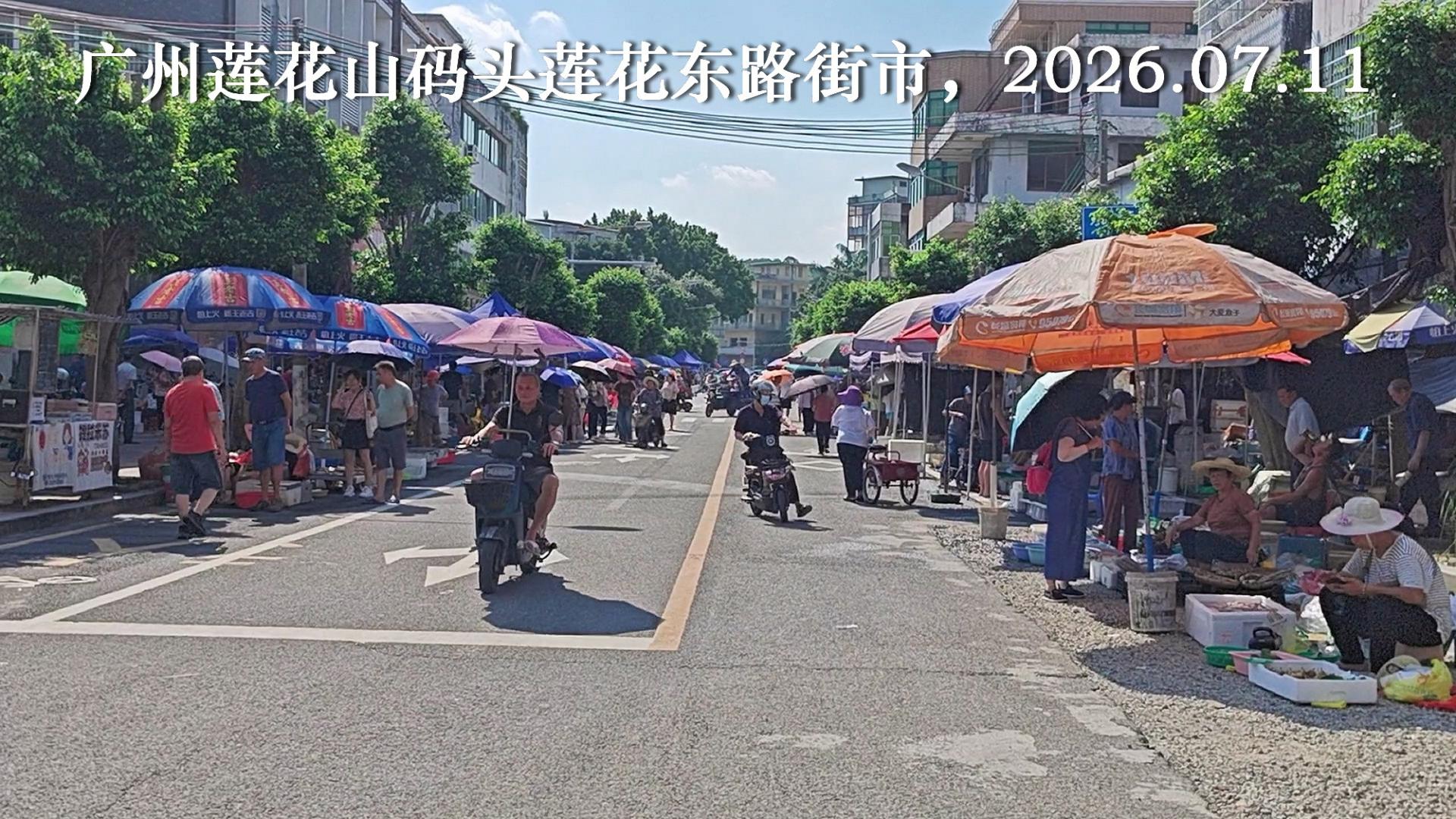 珠江休渔期结束，但河鲜几乎没增加，广州莲花山码头