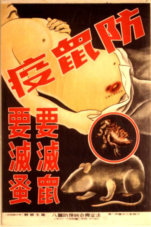 老版宣传画：防鼠疫 要灭鼠 要灭虱