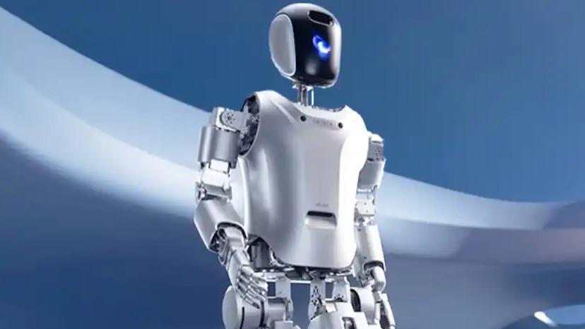 经济，房价，就业，一些畅想。