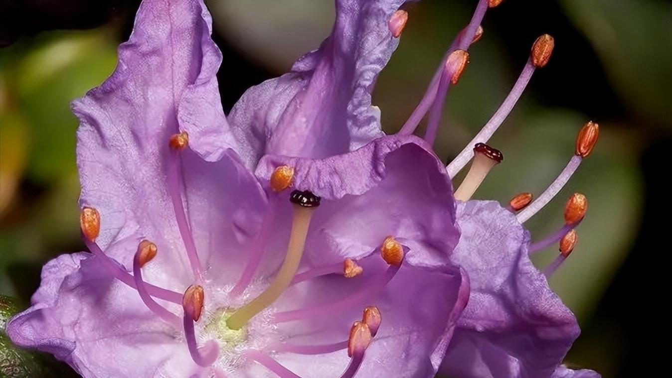 人生如天气，可预料但往往出乎意料