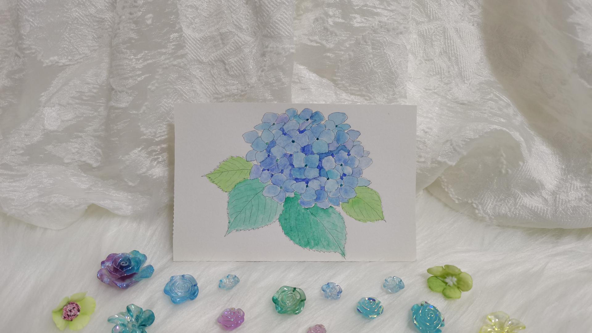 62 绣球（绘画 水彩 果花甘06）