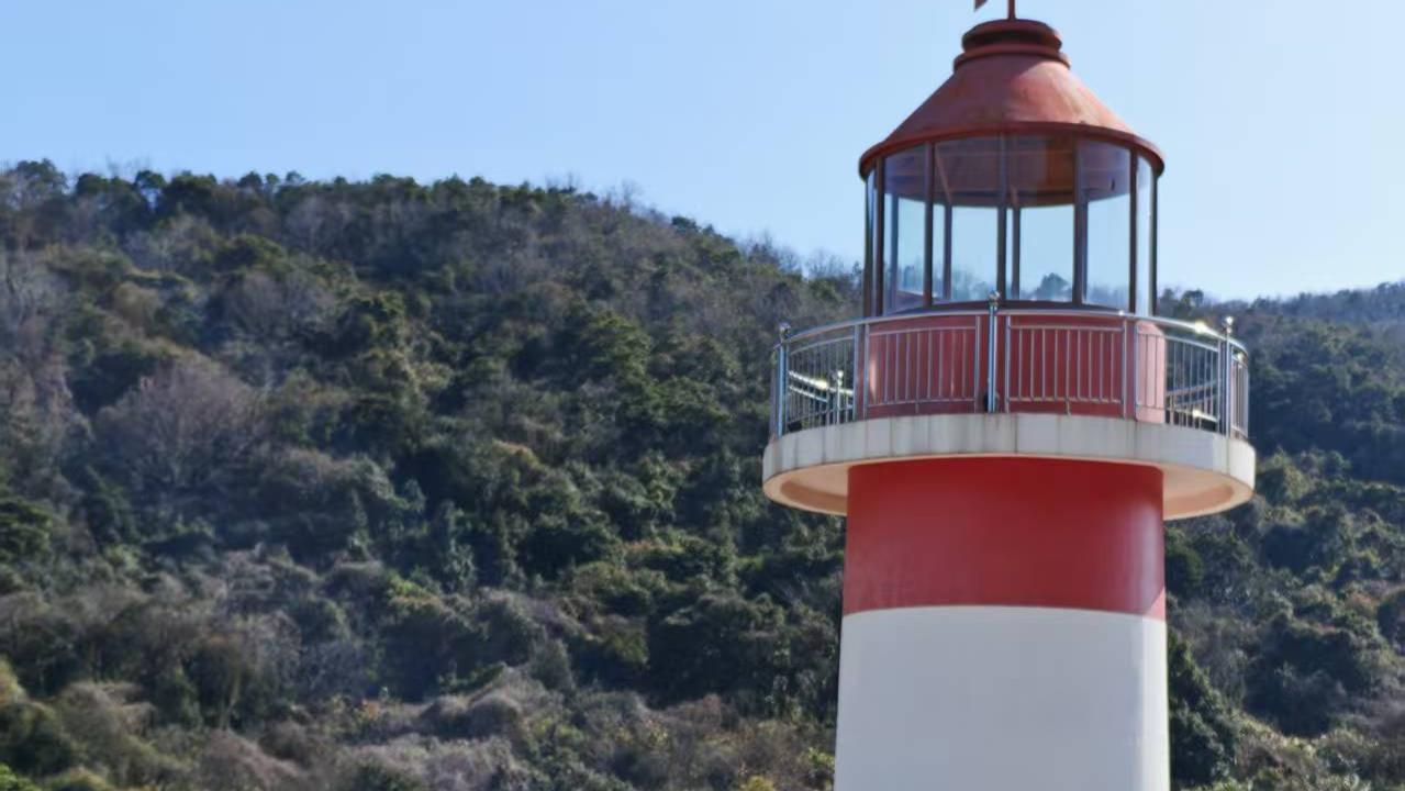 培养2 - 6岁孩子阅读习惯的书