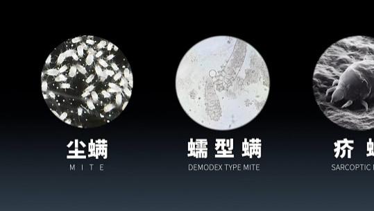 什么牌子的除螨仪好用又实惠？除螨效果最好的品牌？盘点10款高性价比除螨仪，选对不花冤枉钱