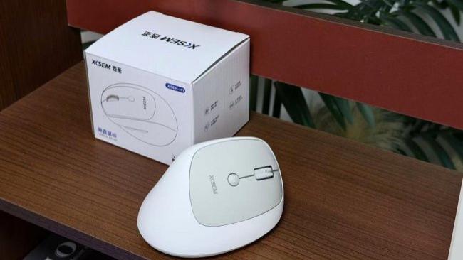 哪个牌子立式鼠标好用? 2026年最建议买的10款人体工学鼠标品牌推荐，低延迟/长续航/多设备适配