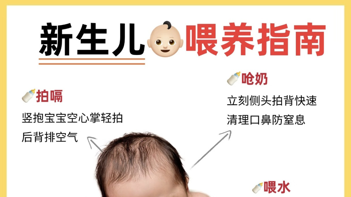 新生儿喂养全攻略：从奶量到频率，新手爸妈看这一篇就够了