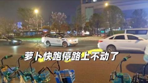 突发！武汉萝卜快跑集体“瘫痪”？有乘客被困高架近两小时，最新通报来了→