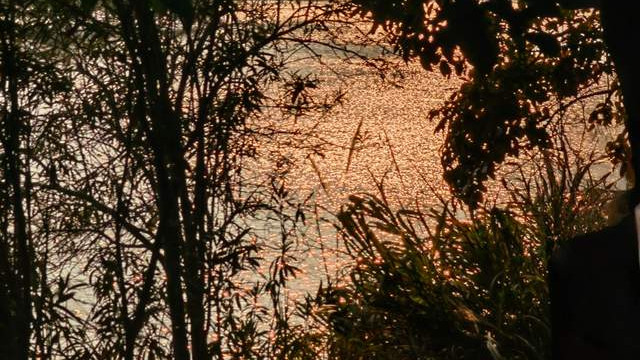 乾卦|刚健不息，与时偕行的开创之道