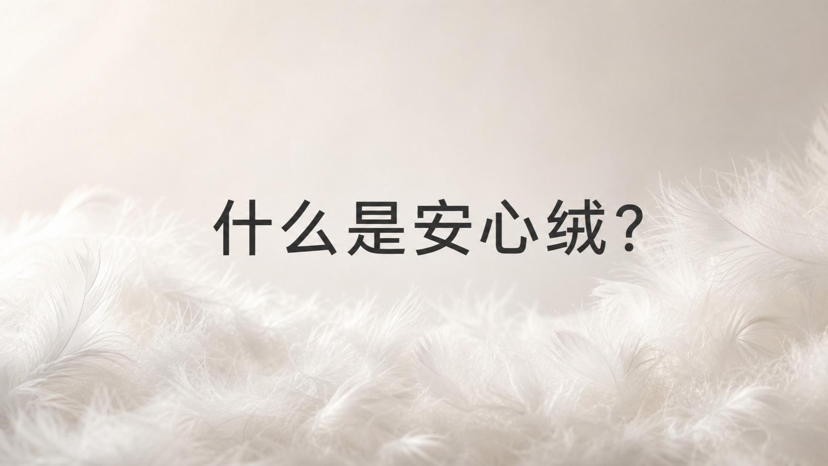 “安心绒”标签能说明什么？判断羽绒材料要分清这四类资料