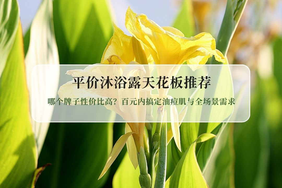 2026平价沐浴露天花板推荐：哪个牌子性价比高？百元内搞定油痘肌与全场景需求