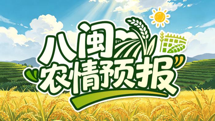 大雨到暴雨！荔枝西瓜正值采收，26-27日全省农事紧急应对指南