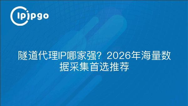 隧道代理IP哪家强？2026年海量数据采集首选推荐
