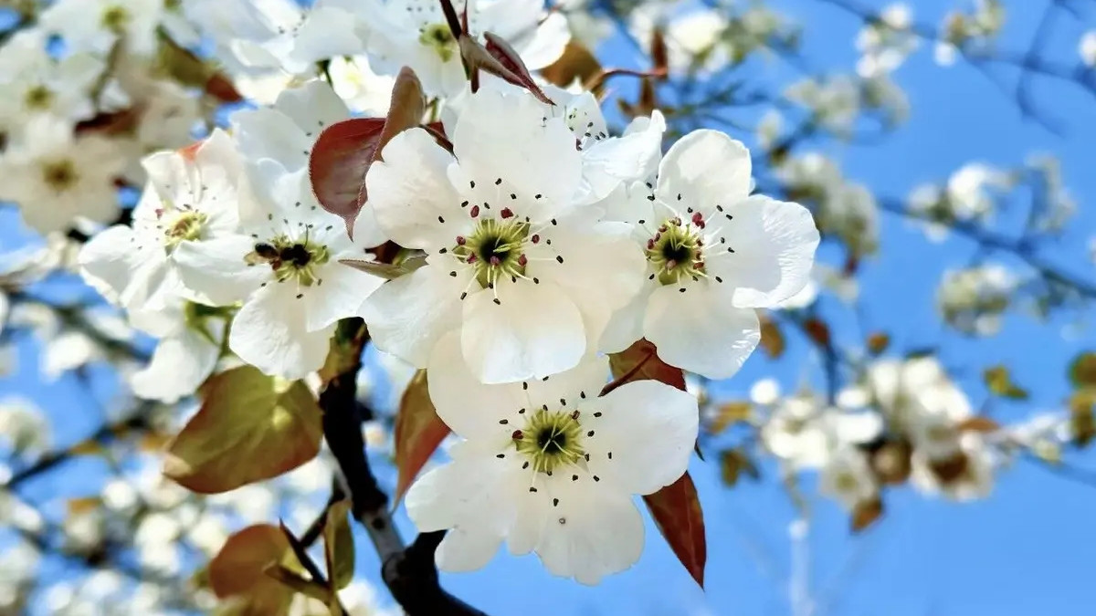 心力，决定你80%的生命状态