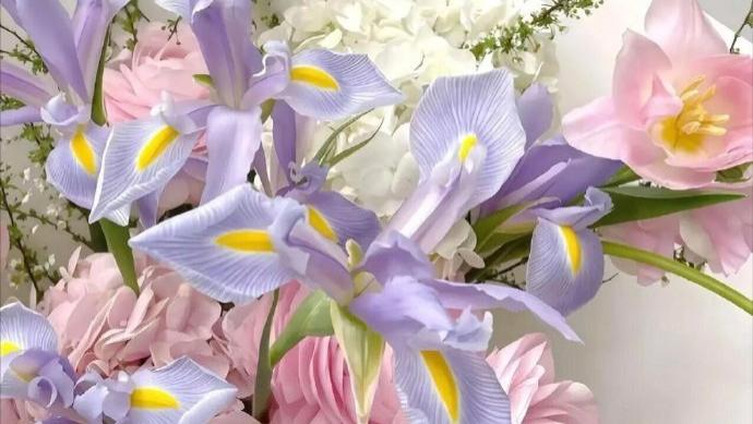 小说—靠老公养，月薪三万，光鲜背后的悲催何处说？