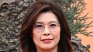 郑丽文的成长与奋斗历程