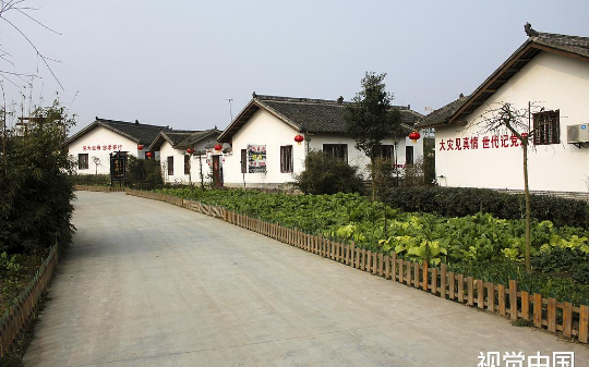 开发商想强行拆除宗祠，族长一个电话，六万族人从全球各地赶来！