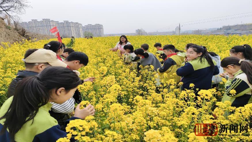 走进山西闻喜的田野体验收获与快乐